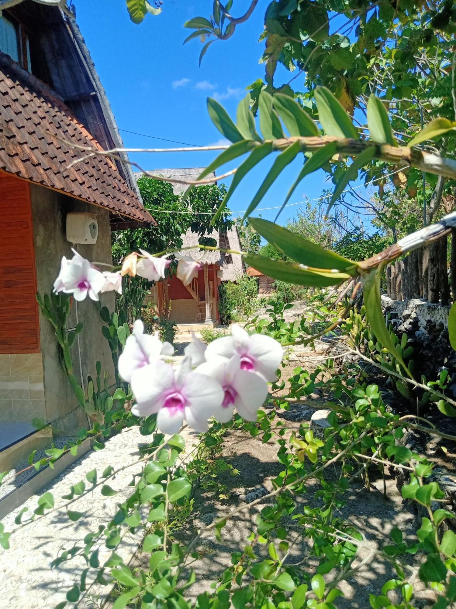 The Somayan Bungalows Batununggul Exterior foto